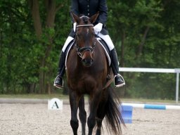 282269_10150929545568585_899262628_n_web